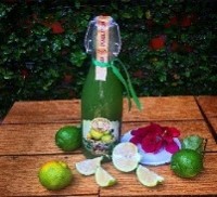 LIMA Y MENTA 